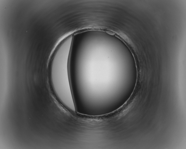 X0000087350838200704200802