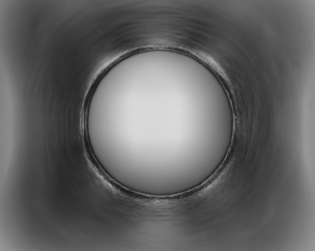 X0000087350839200704200803
