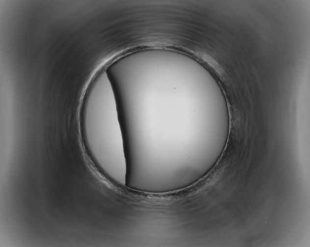 X0000087350840200704200803