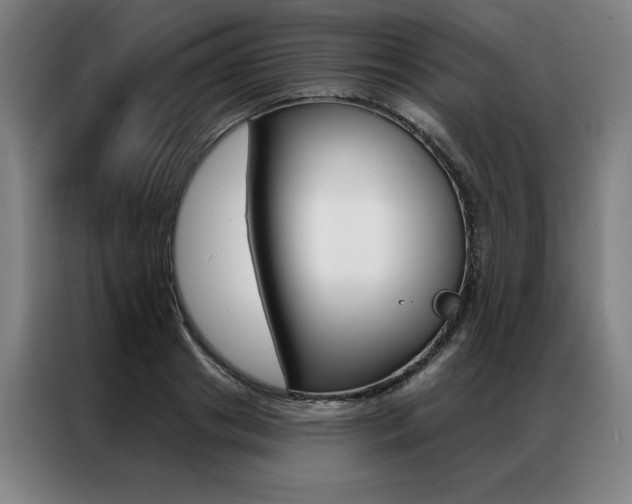 X0000087350841200704200803