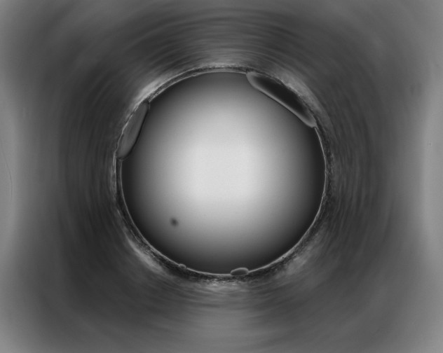X0000087350842200704200803