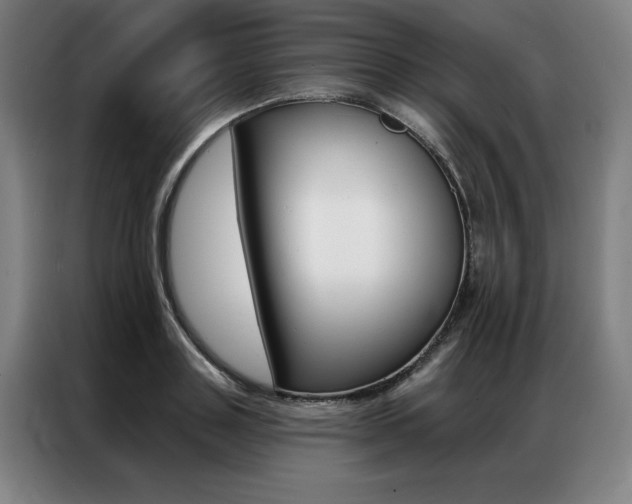 X0000087350843200704200803