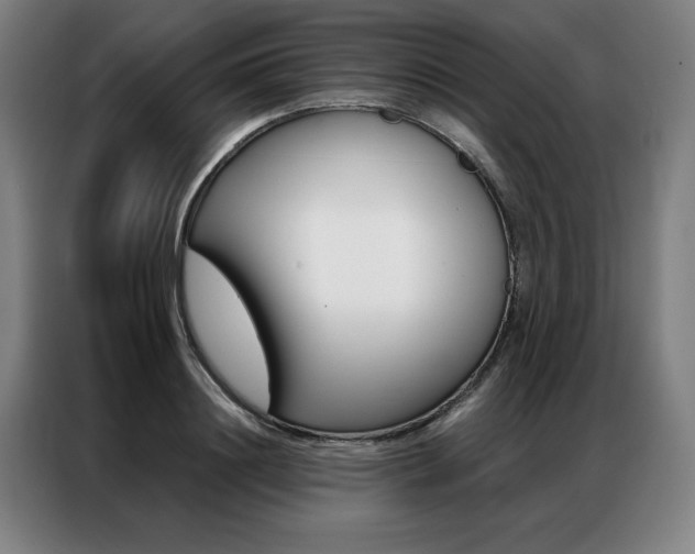 X0000087350844200704200803