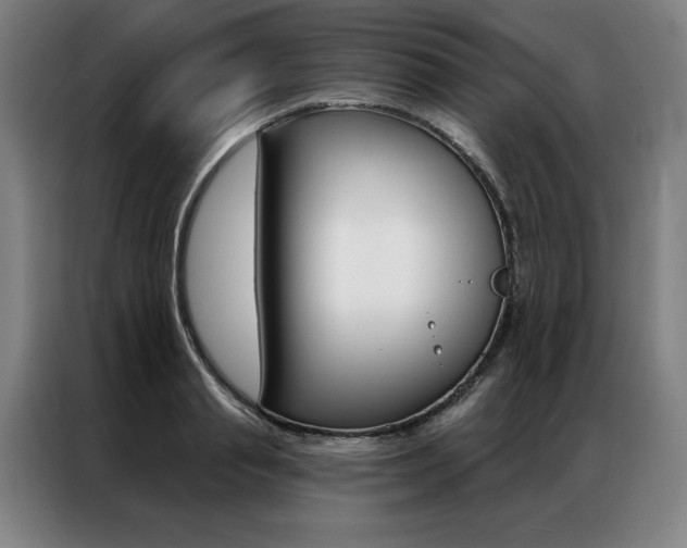 X0000087350845200704200803