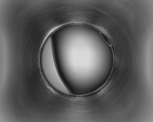 X0000087350846200704200803
