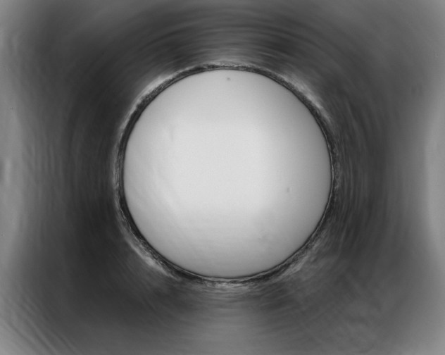 X0000087350848200704200803