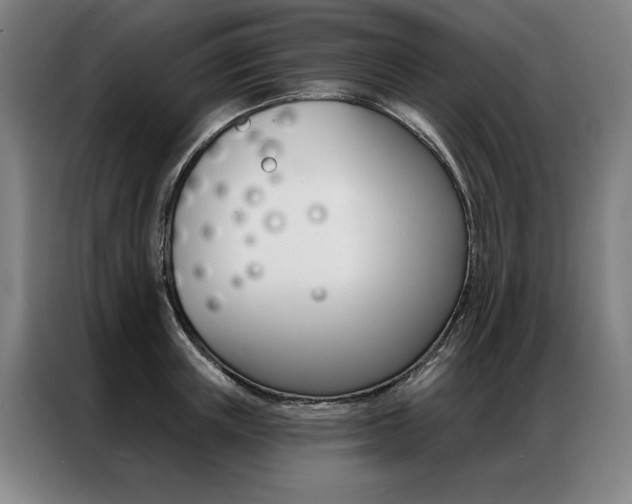 X0000087350851200704200803