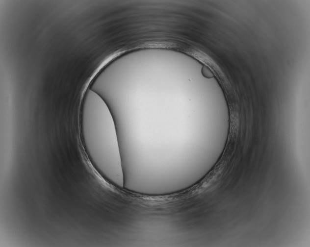 X0000087350852200704200803