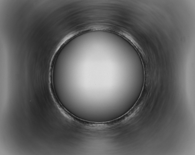X0000087350853200704200803