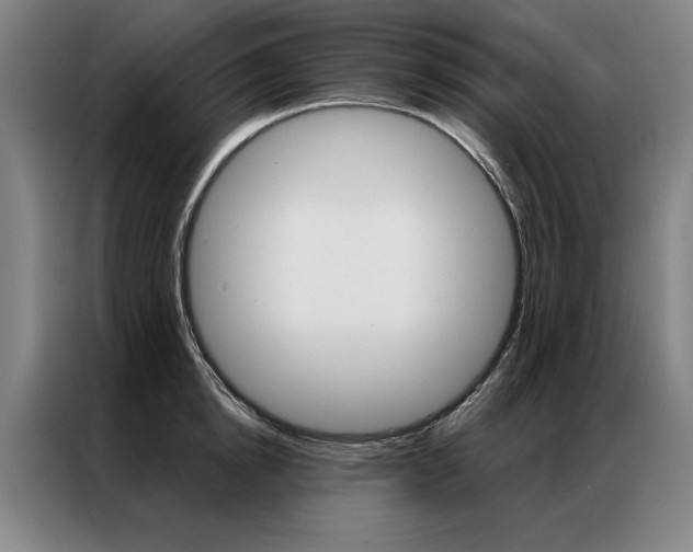 X0000087350854200704200803