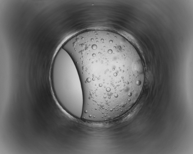 X0000087350855200704200803