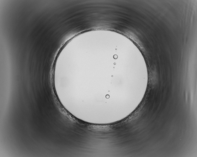X0000087350856200704200803