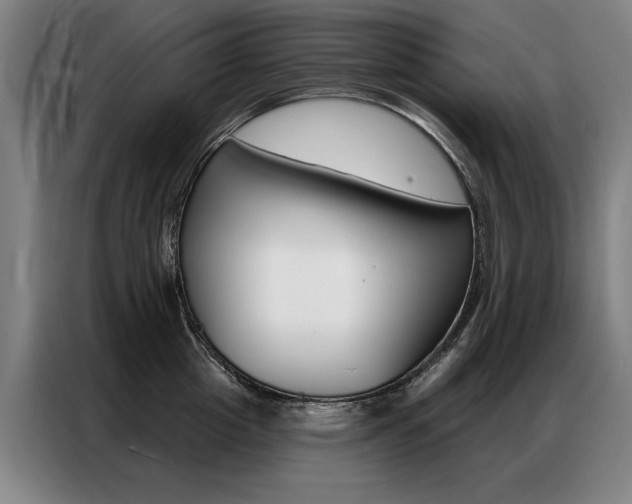 X0000087350857200704200803