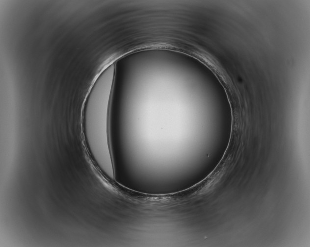 X0000087350858200704200803