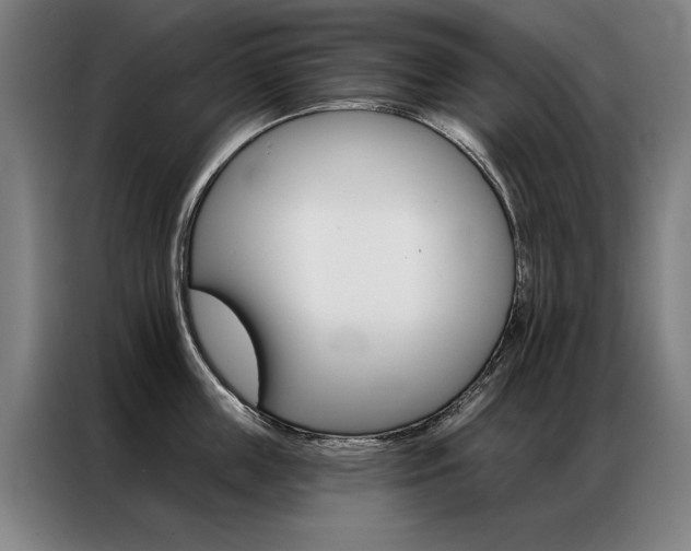 X0000087350859200704200803
