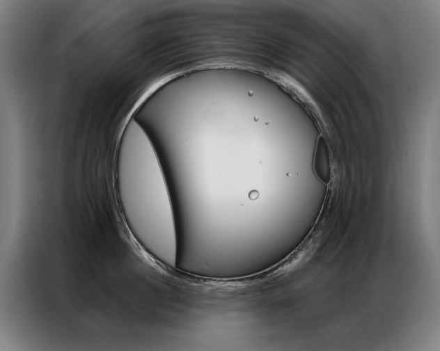 X0000087350860200704200803