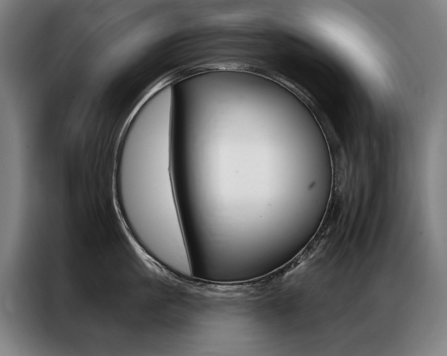 X0000087350861200704200803