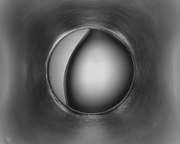 X0000087350862200704200803