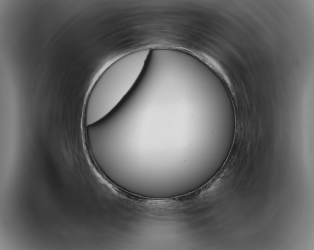 X0000087350863200704200803