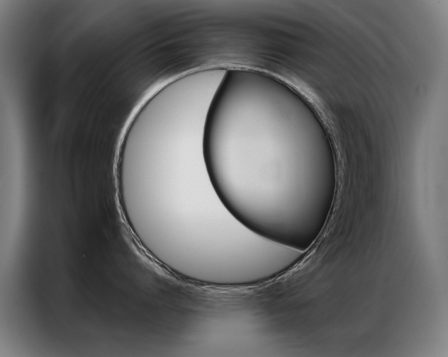 X0000087350864200704200803
