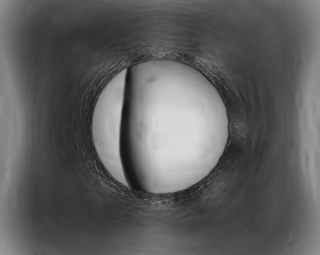 X0000087350865200704200802