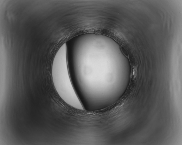 X0000087350867200704200802