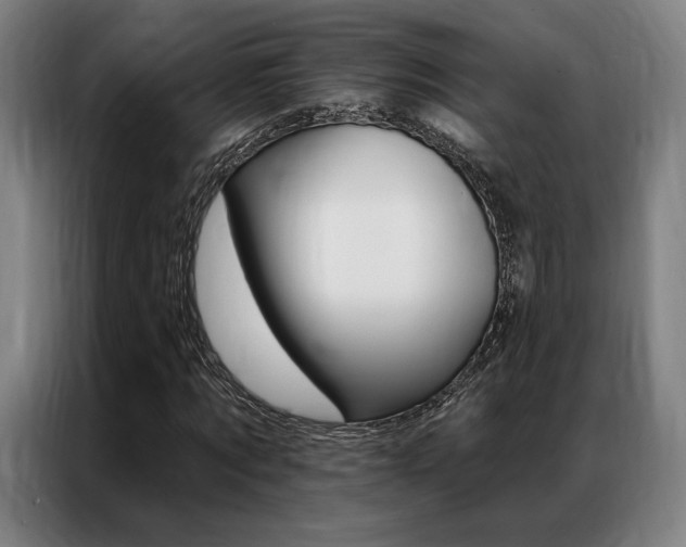 X0000087350869200704200802