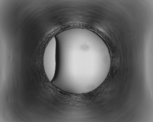 X0000087350870200704200802