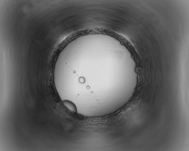 X0000087350871200704200802
