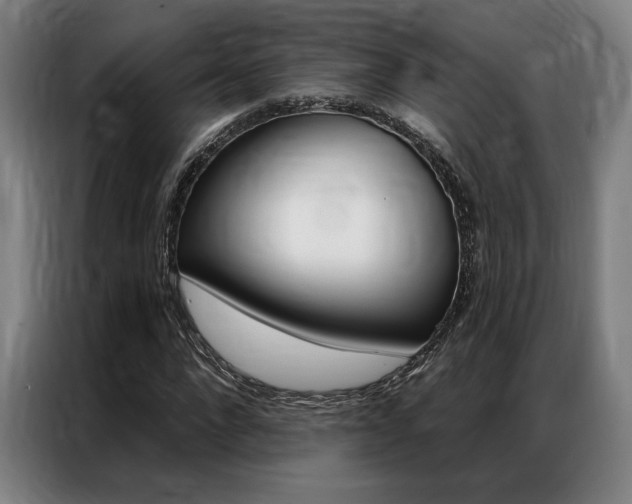 X0000087350872200704200802