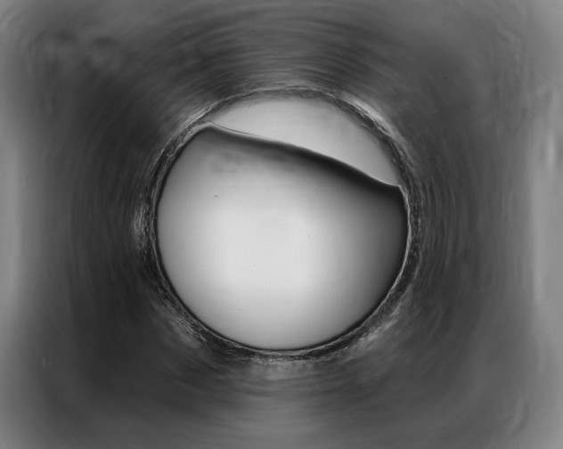 X0000087350873200704200802