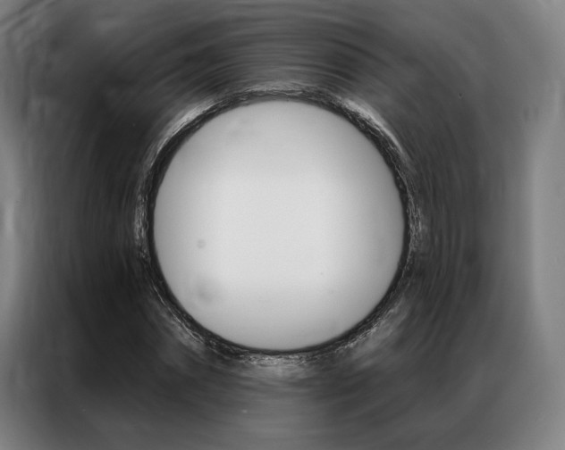 X0000087350874200704200802