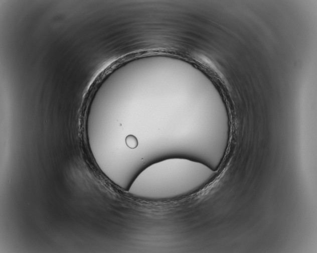 X0000087350875200704200802