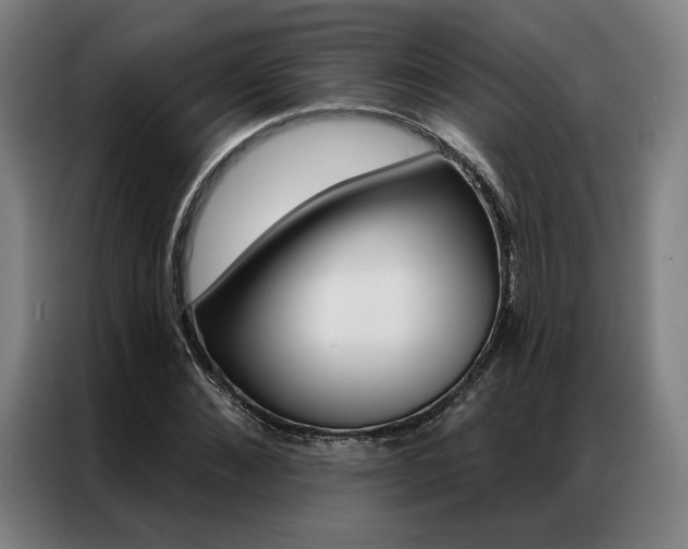 X0000087350876200704200802