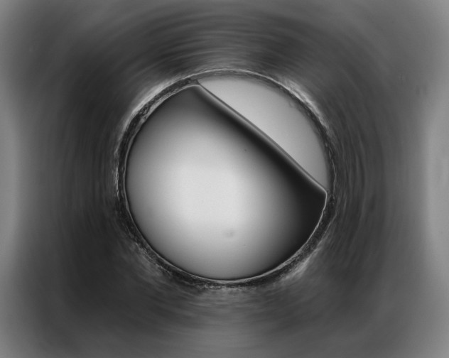 X0000087350877200704200802