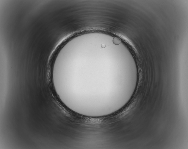X0000087350878200704200802