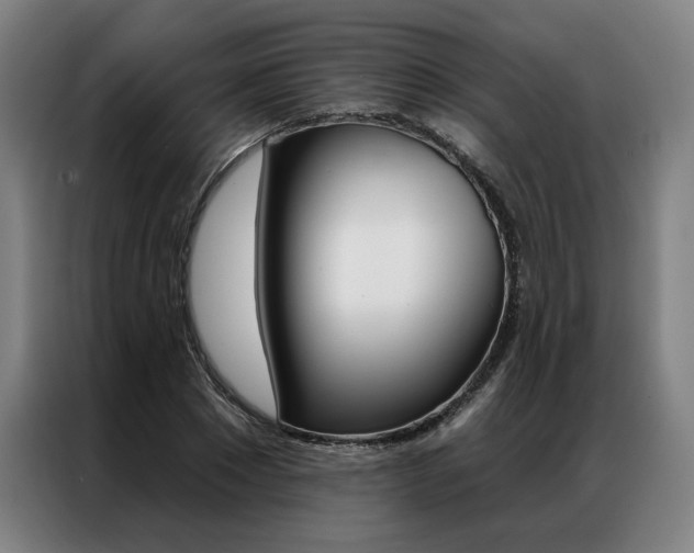 X0000087350881200704200802