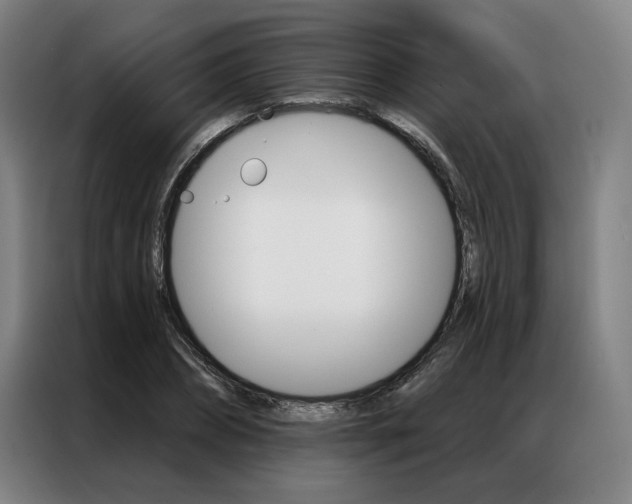 X0000087350882200704200802