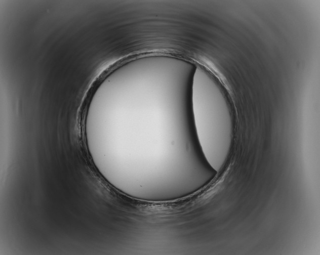 X0000087350883200704200802
