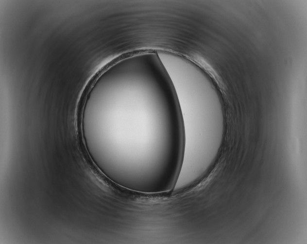 X0000087350884200704200802