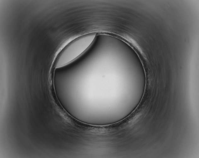 X0000087350885200704200802