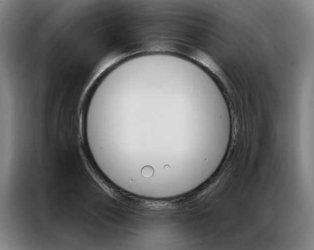 X0000087350886200704200802
