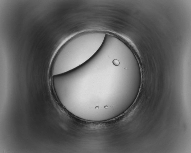 X0000087350887200704200802