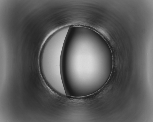 X0000087350888200704200802