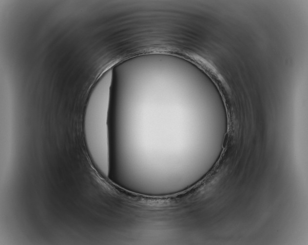 X0000087350889200704200802