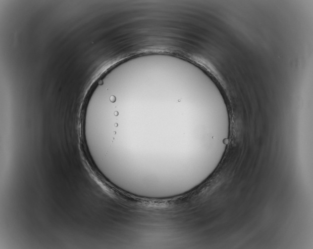 X0000087350890200704200802