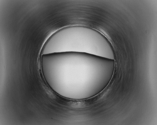 X0000087350891200704200802