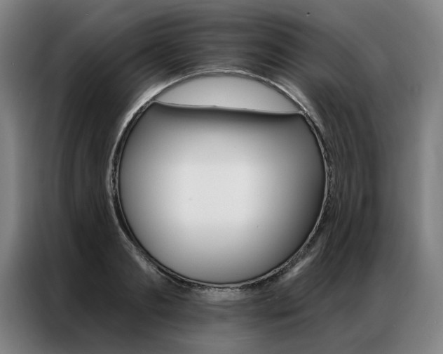 X0000087350893200704200802