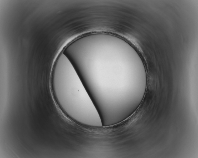 X0000087350895200704200802