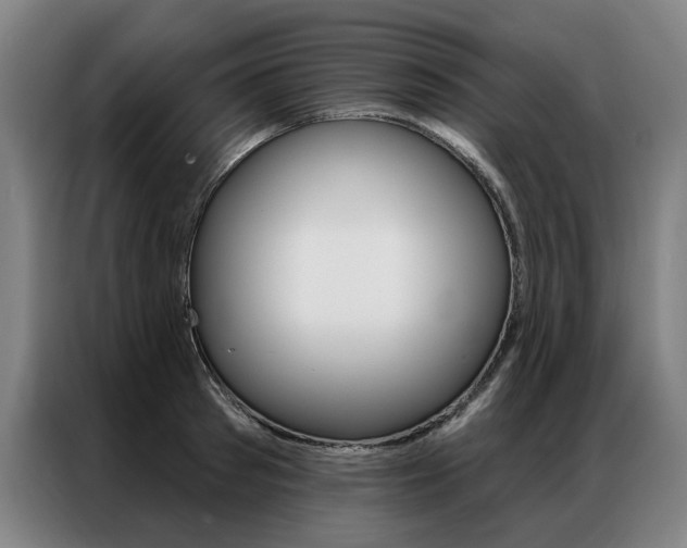 X0000087350897200704200802